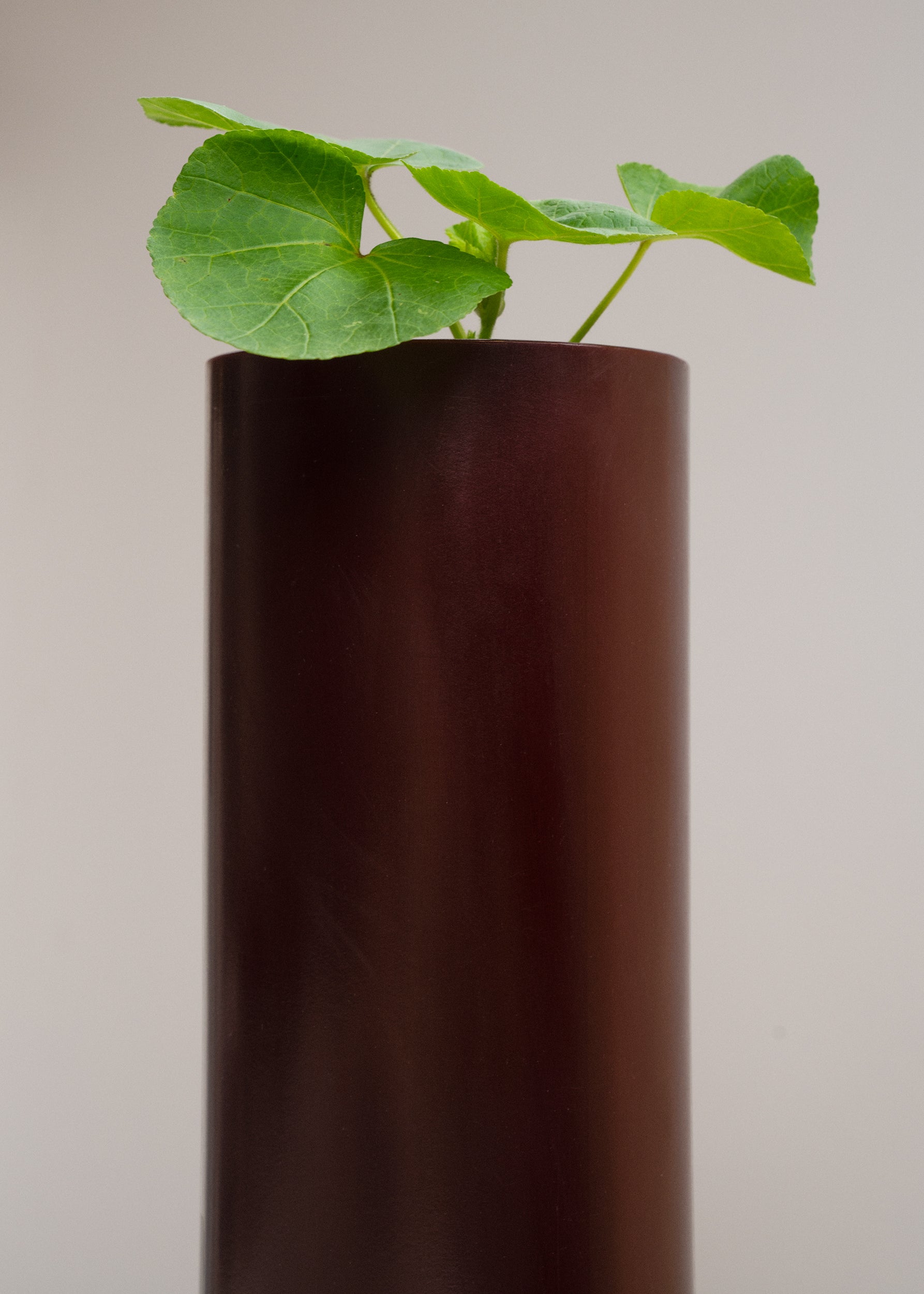 Cave Vase